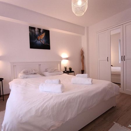 Cozy Apartment City Center Bucureşti Eksteriør bilde